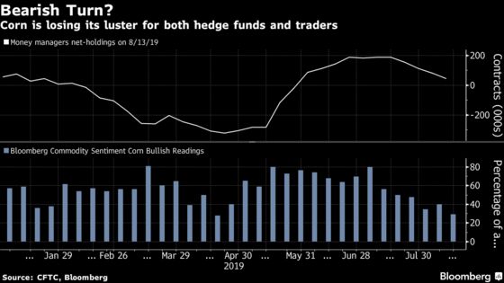 Corn’s Hellish Week Has Traders Turning to Fields for Cues