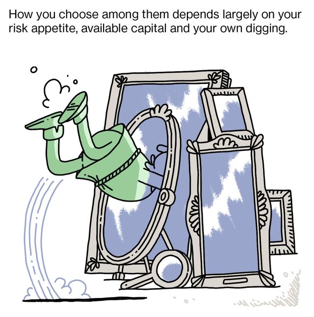 How you choose among them depends largely on your risk appetite, available capital and your own digging.