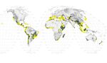 World map showing the 400-plus large cities that sit in biodiversity hotspots