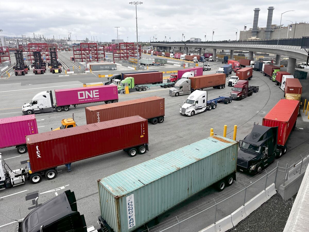 Trump Tariffs Are Hurting US and Global Economy, OECD Warns