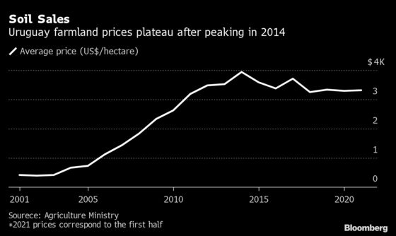 South American Fund Buys Up More Farmland in a Bet on Food Inflation