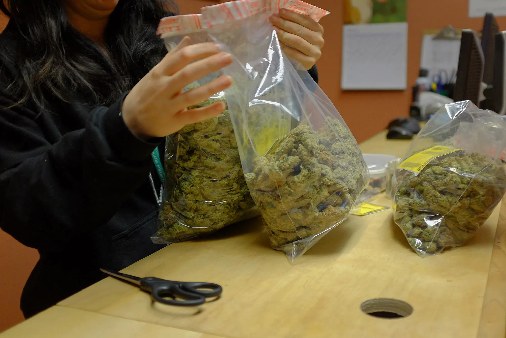 A worker&nbsp;handles bags of marijuana to be delivered by the courier service in Louisville, Colorado, U.S.