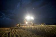 Wild Swings In Wheat Turn On U.S. Drought Threat, Export Outlook 