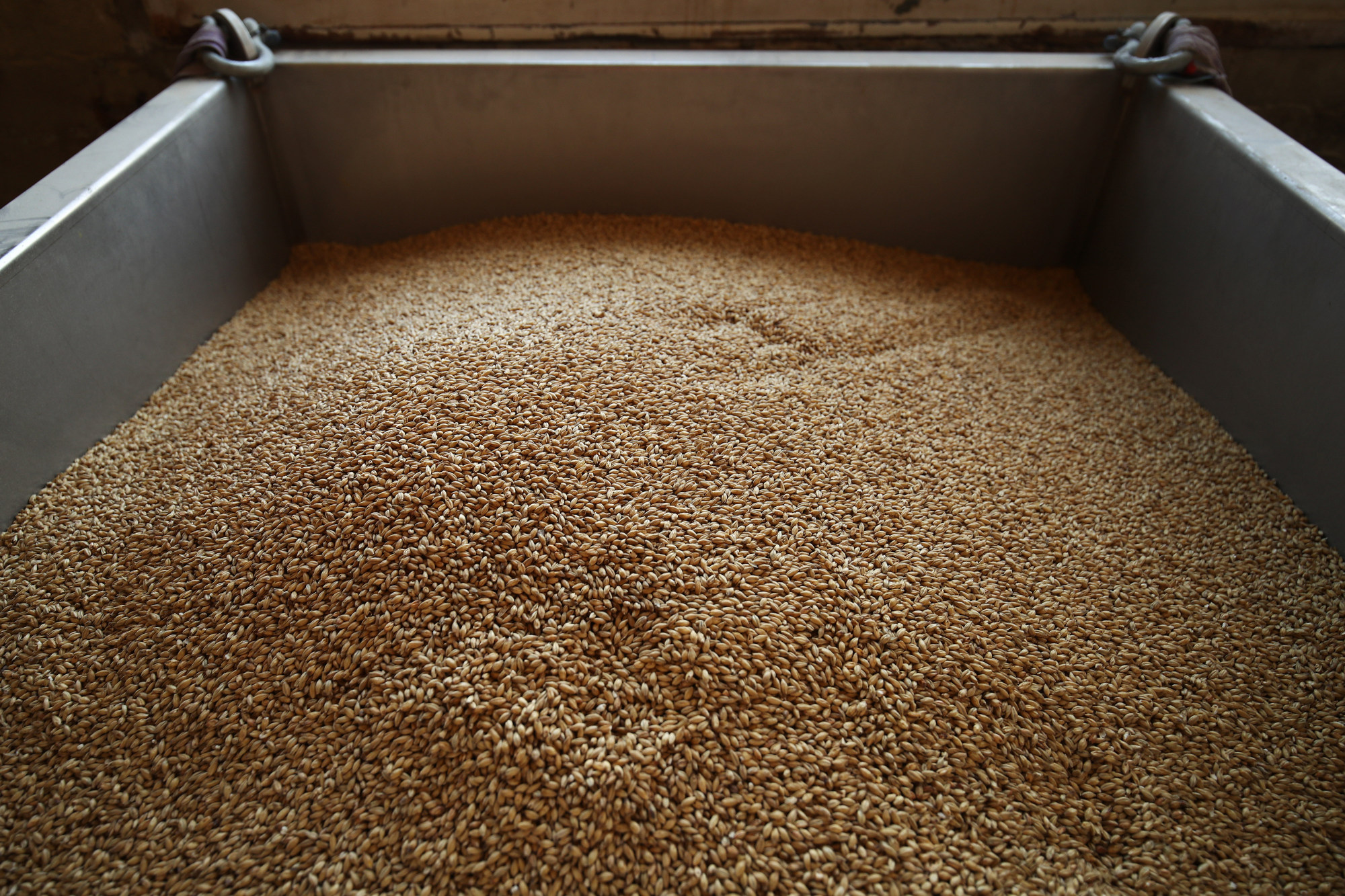 Cargill Said to Explore Options for $1 Billion Malt Business - Bloomberg