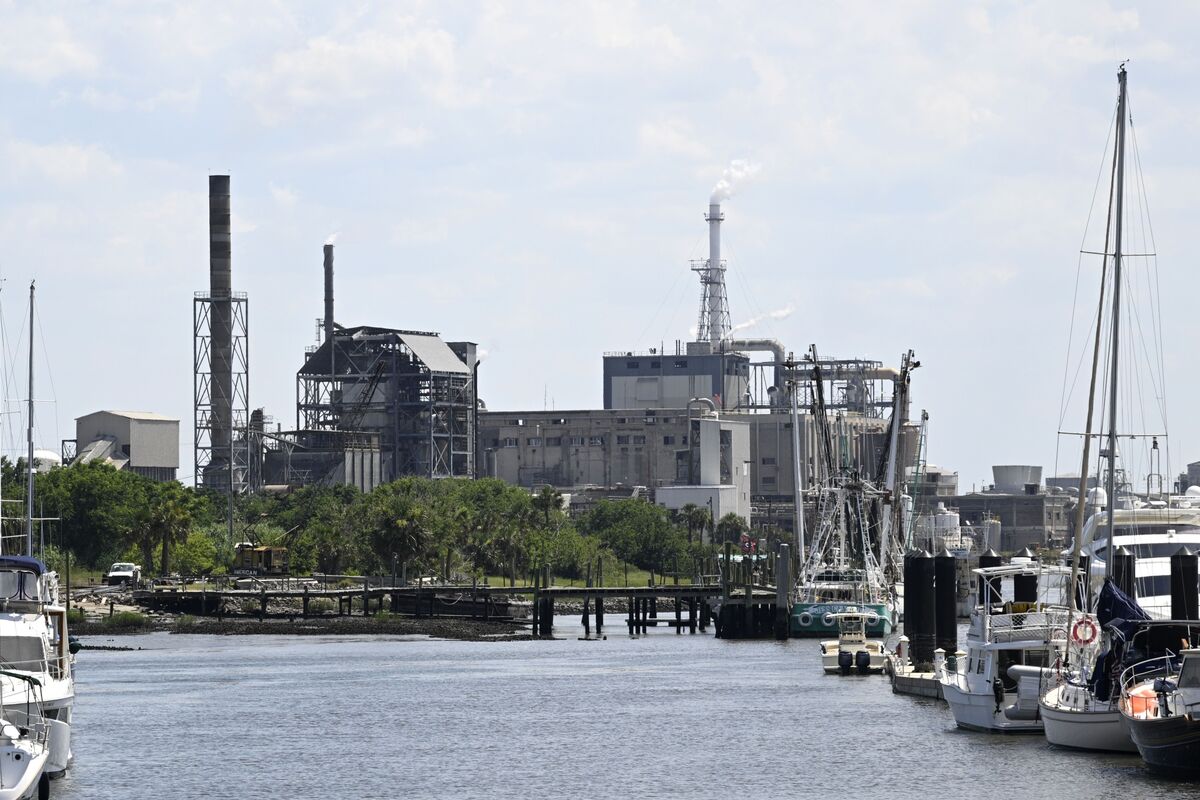 Rayonier Advanced Materials Investor Pushes Board for Full Sale
