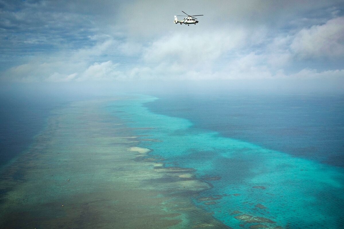 China to Set Up Nature Reserve at Disputed South China Sea Shoal