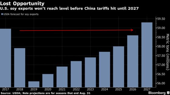 On Tariff Anniversary, Soybean Farmers Are Struggling Even as Prices Recover