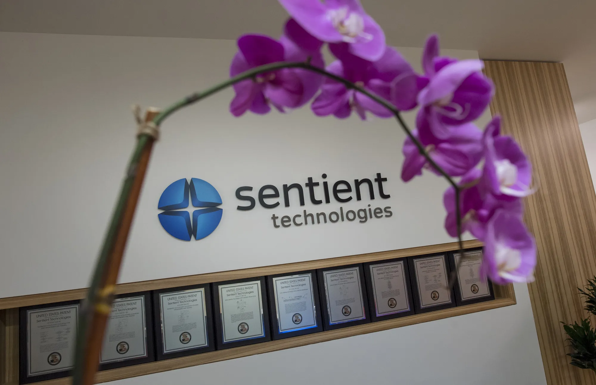 AI Hedge Fund Is Said to Liquidate After Less Than Two Years - Bloomberg