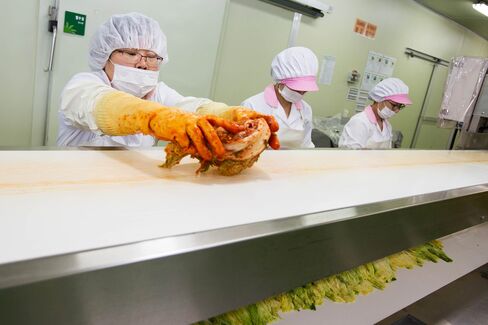 Cabbage Harvest And Kimchi Production As South Korea Second-Quarter GDP Rises 0.3%