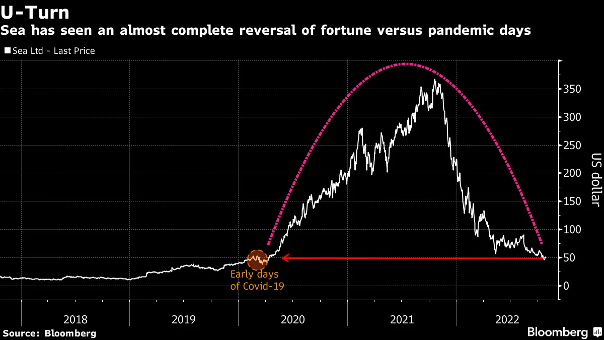 Cathie Wood Ark Next Generation ETF Exits E-Commerce Giant Sea (SE) -  Bloomberg