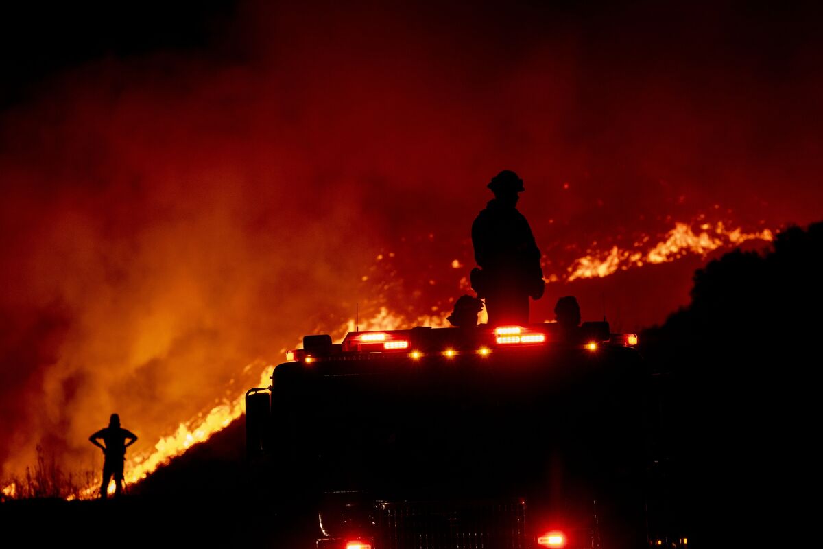 🟪"Monaco Re: Profitti in Calo nel Primo Trimestre a Causa degli Incendi di Los Angeles"
