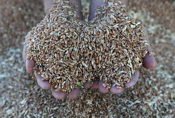 The commodities market faces long-term challenges.