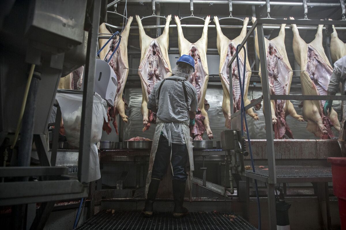 U.S. Speeds Pig Slaughter Ahead of Looming China Supply Gap - Bloomberg