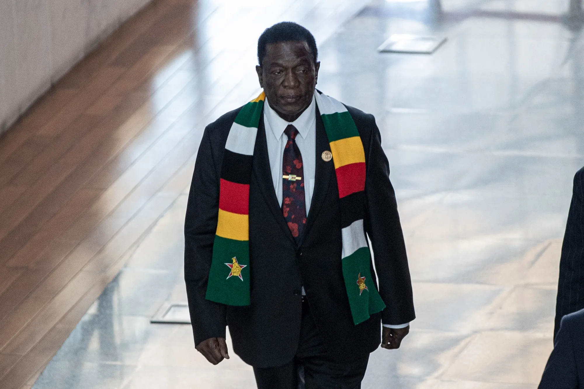 Emmerson Mnangagwa&nbsp;