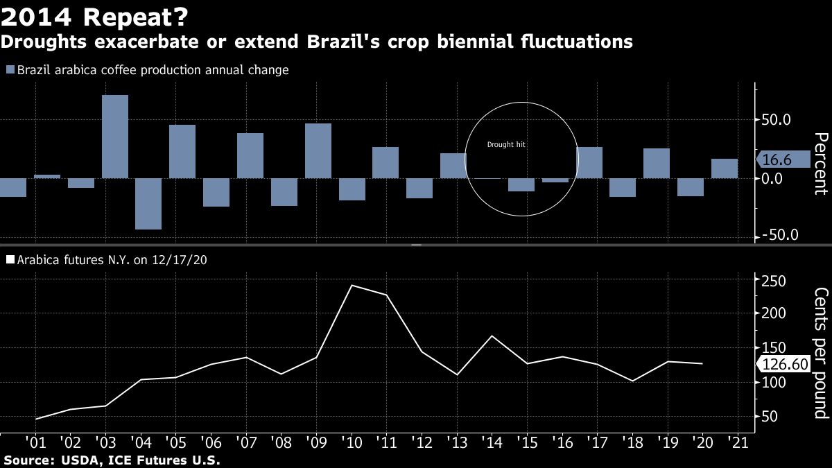 Brazil Drought Damage May Cut High-End Coffee Crop For Two Years ...