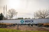 Keytruda Profits Show Why Merck Is Suing the US