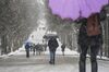 Retiro Park in heavy snowfall in Madrid, on Jan. 7. 