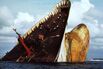 Amoco Cadiz wreck fifteen years after the sinking in France in March, 1978-