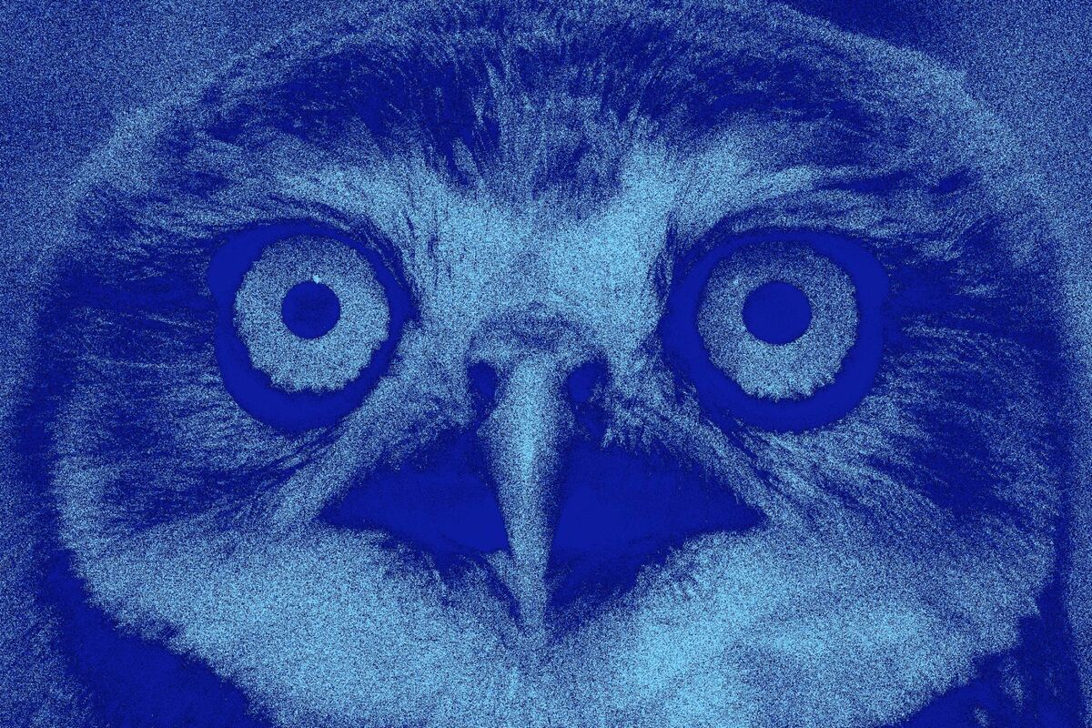 Blue Owl Anxiety Rattles the $1.8 Trillion Private Credit Market