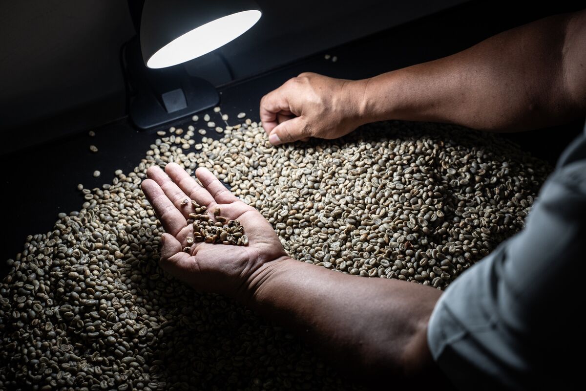 
                            Coffee Prices Stay at Record Despite Drop in Market for Beans