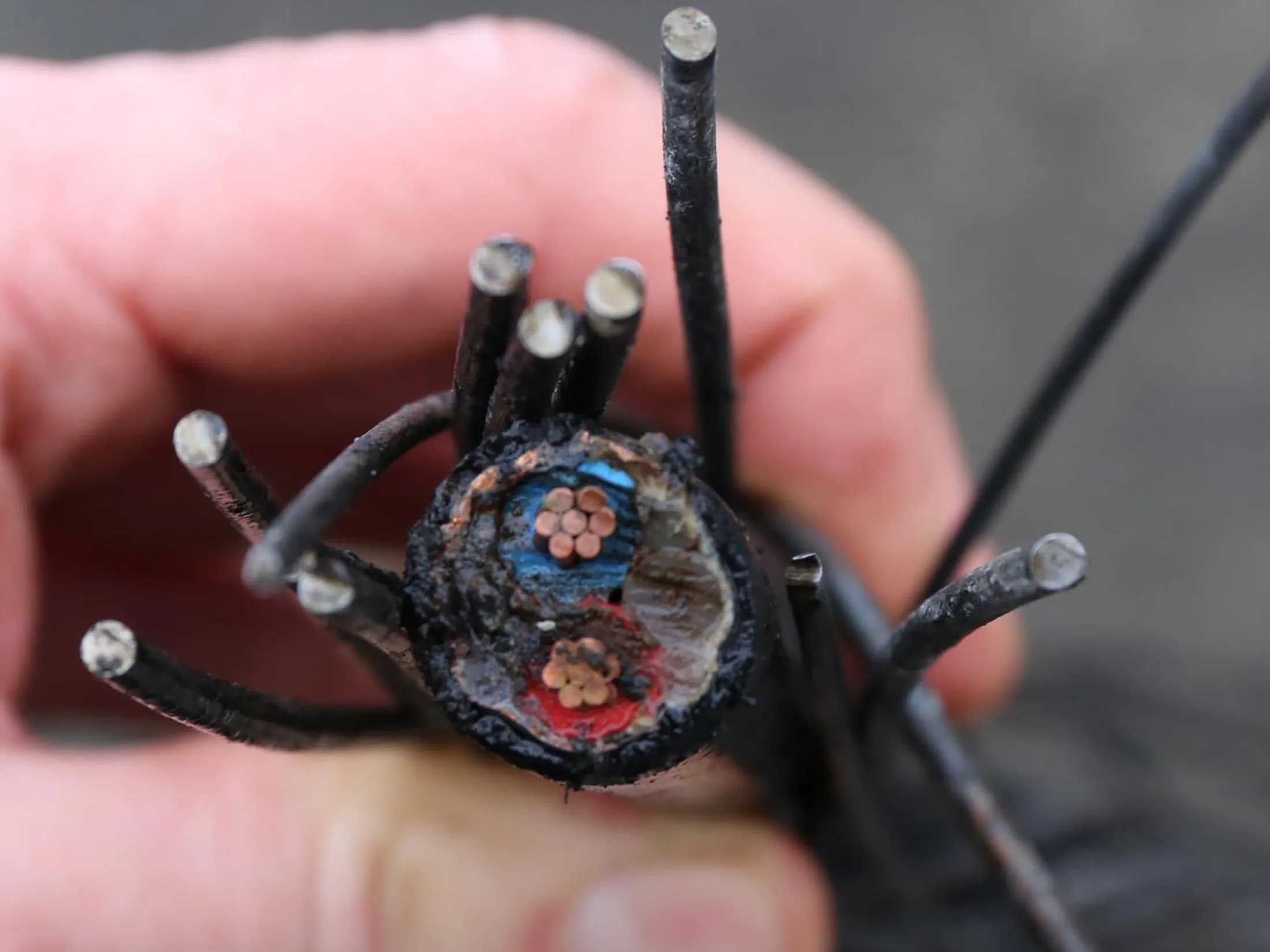 Cable showing a clean cut, likely made by a power saw.