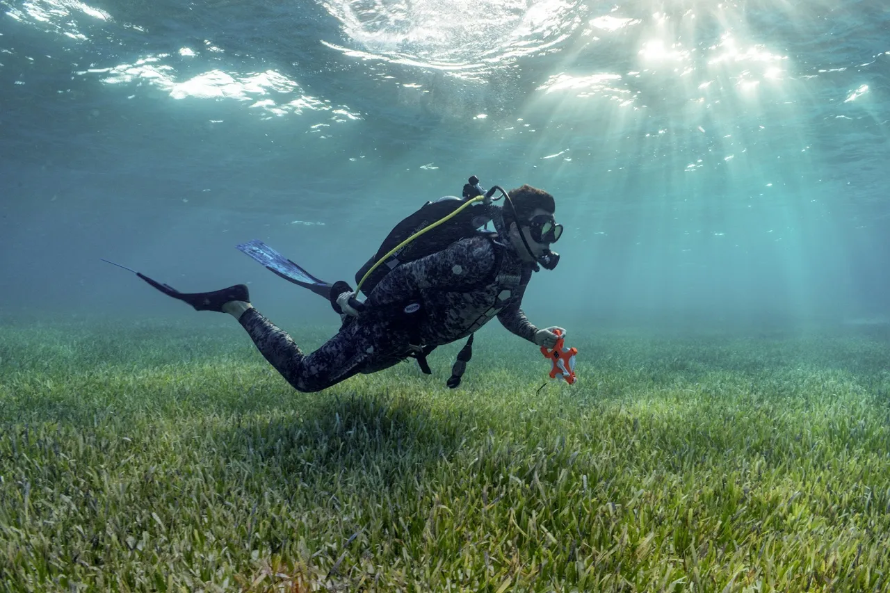 Dr. Austin Gallagher surveys the Bahamas Bank seagrass meadow with SeaLegacy co-founders Cristina Mittermeier and Paul Nicklen.&nbsp;