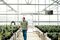 Stewart in a Driscoll’s greenhouse.