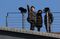 Reactions As North Korea Fires Long-Range Rocket Weeks After Nuclear Test