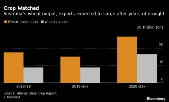 Drought and Rain Are Reshaping Global Grain Trade Routes