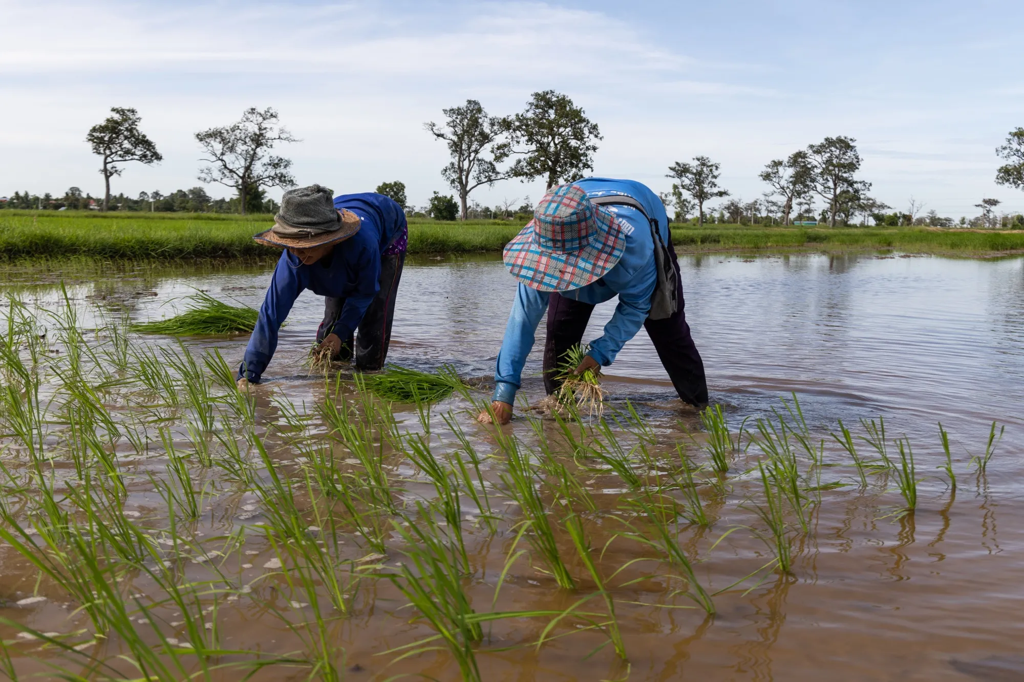 The Thai wet season, which normally begins in the third week of May, will start a bit later this year with a period of intermittent rain in June, the Bangkok Post reported.&nbsp;