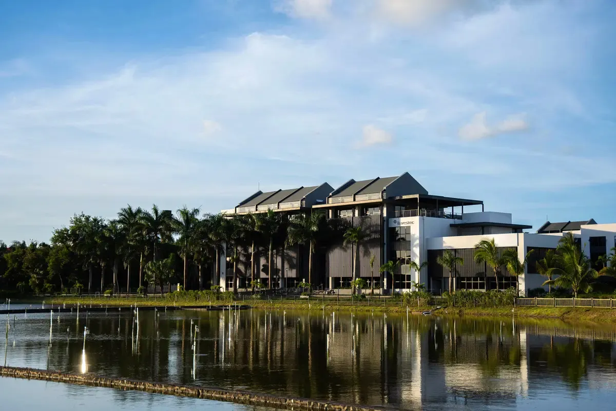 Mauritius Courts Fintechs, Family Offices in Bid to Diversify Economy -  Bloomberg