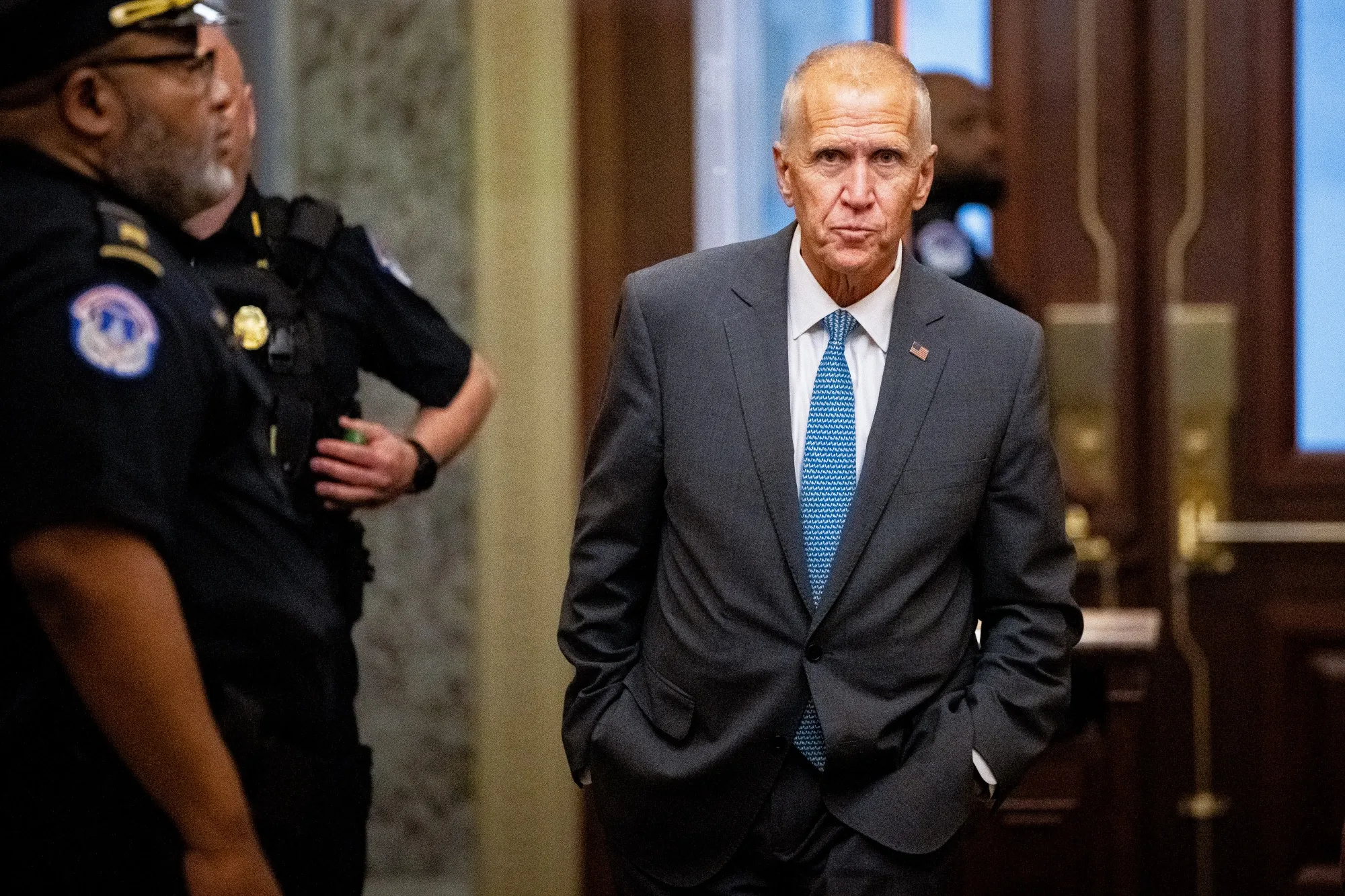 Senator Thom Tillis