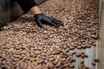 Cacao beans are sorted and destoned on a machine at the Parre Chocolat facility in Fair Lawn, New Jersey, U.S..
