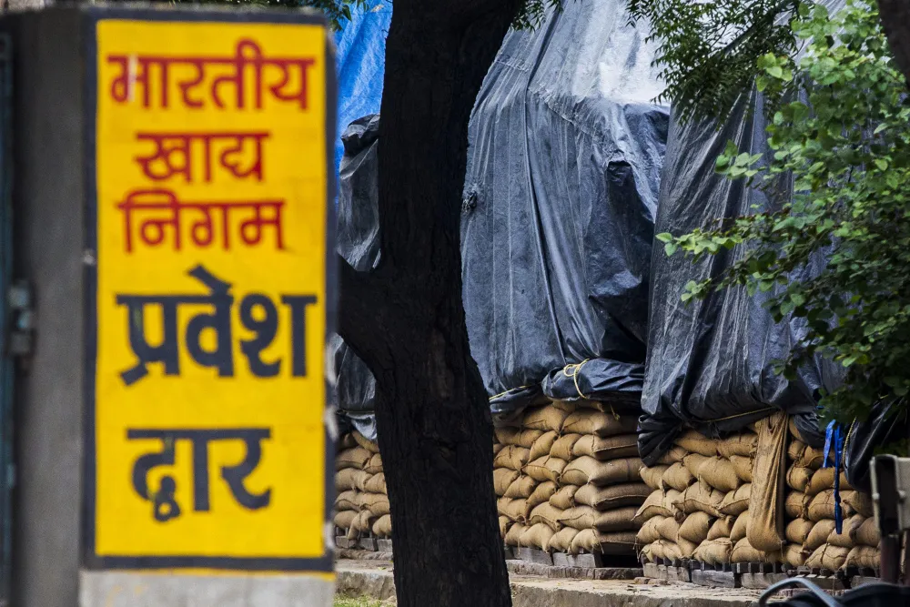 Sacks of wheat sit under tarps at a Food Corporation of India grain warehouse in Haryana, India.