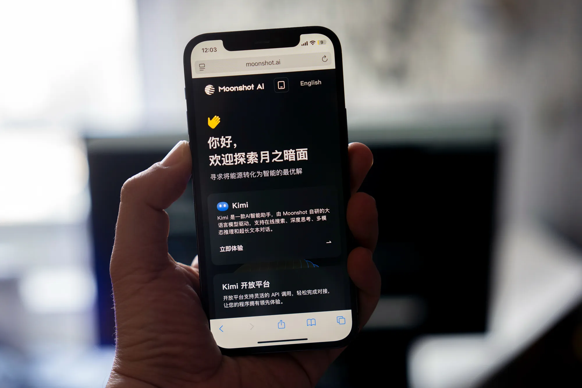 Information for Moonshot AI’s Kimi chatbot on a smartphone.