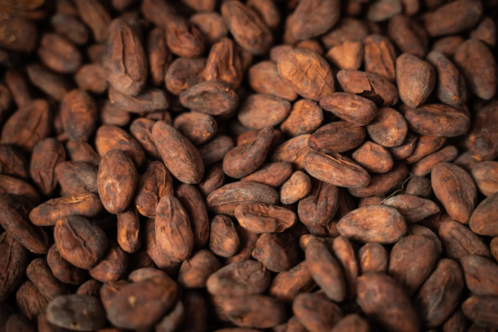 A Cocoa Harvest And Processing Ahead Of GDP Figures