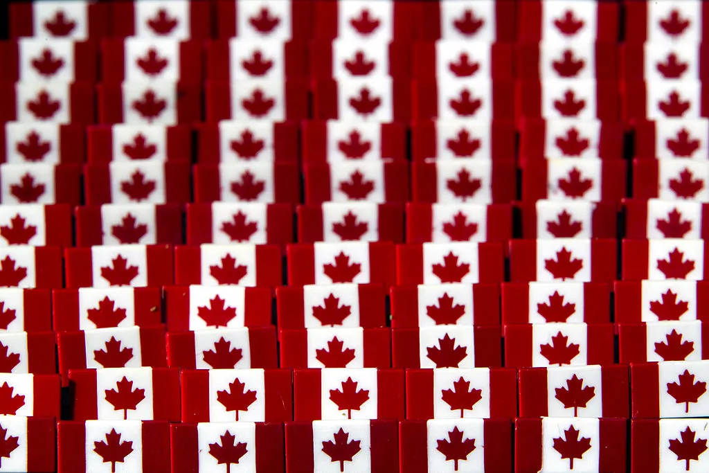 Canadian flag pins are arranged for a photo in Toronto on Thursday, August 18 2011.
