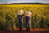 Wheat and Canola Farming as Australia set to Boost Exports
