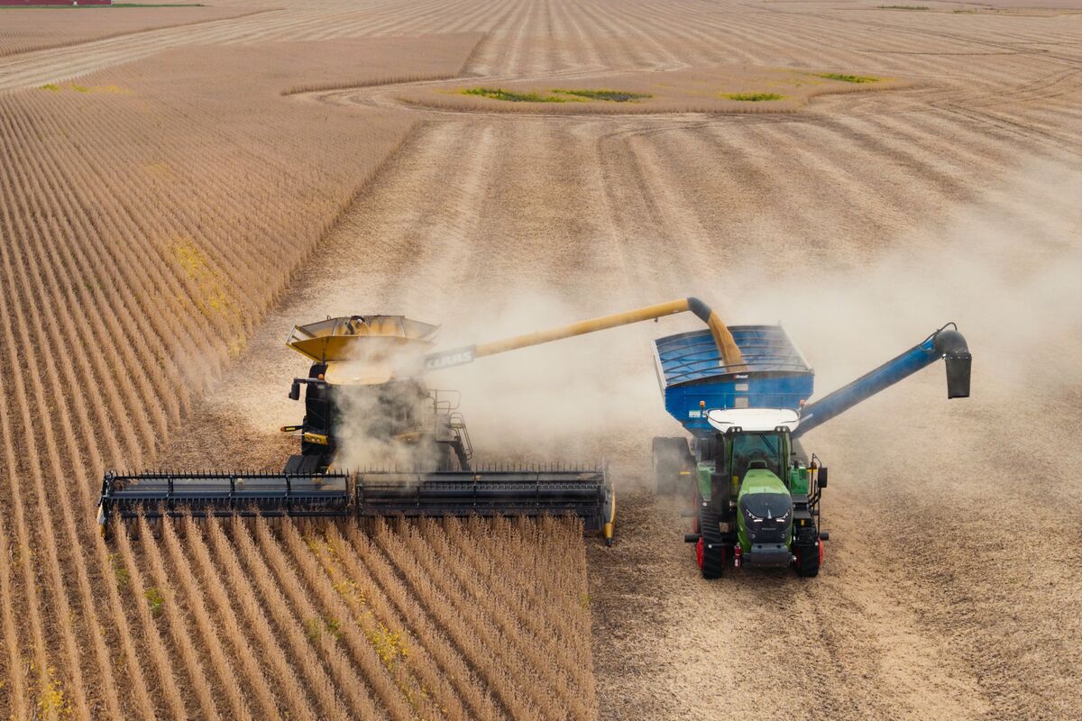 Soybean Futures Edge Higher as Traders Watch for US Farm Aid