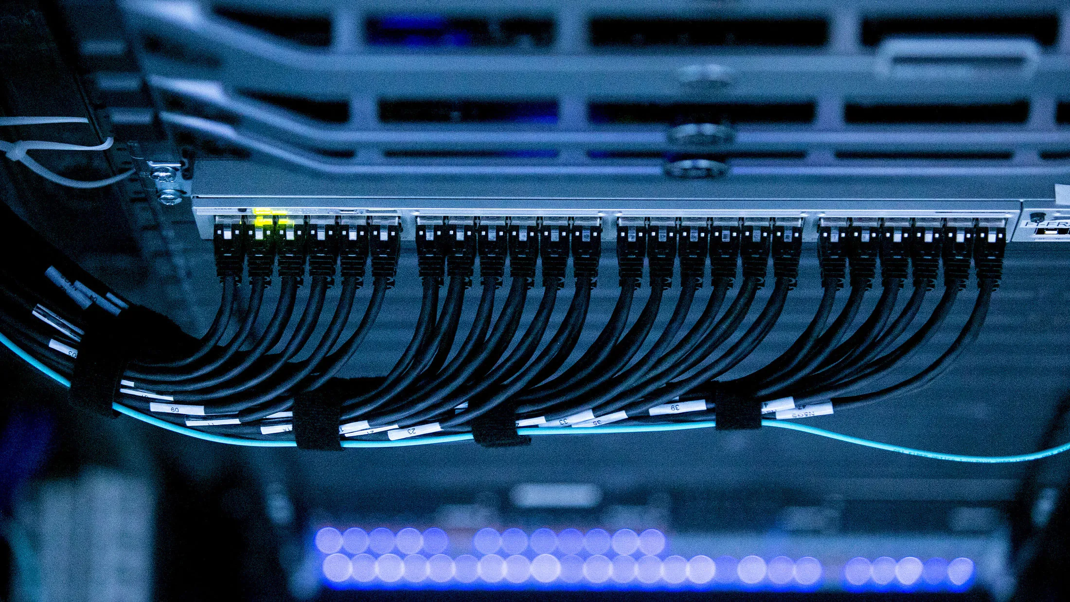 1483466634_web_startups-banner1