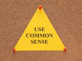 Everything in This Newsletter Is Common Sense. Or Is It?