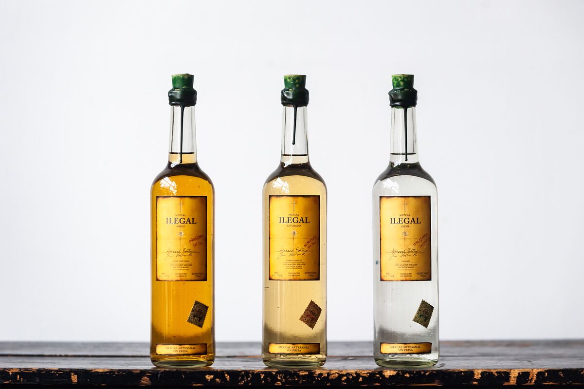 Bacardi Nears a Deal to Buy Ilegal Mezcal