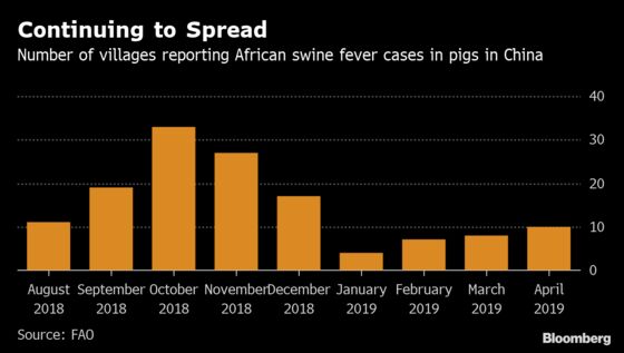 African Swine Fever Branded a National Crisis in ‘Stunning’ Blow to China