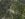 Gabon Touts Forestry And Sustainable Logging as Carbon Offset Solution