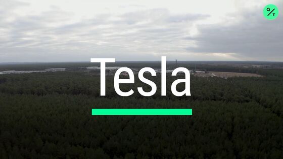 Tesla Gets Go-Ahead to Resume Clearing Forest in Germany