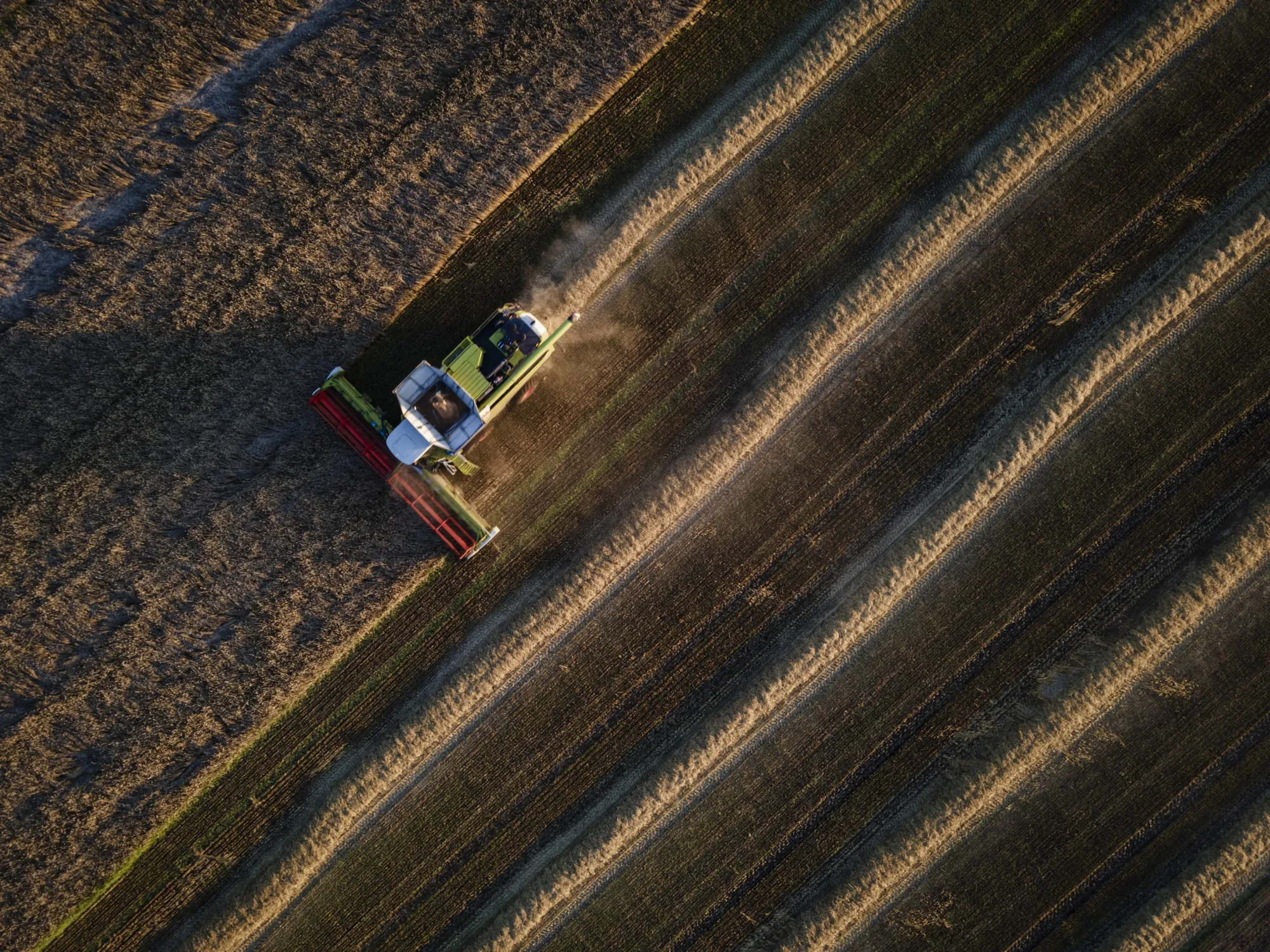 A farmer&nbsp;harvests a wheat field in Kyiv Oblast, Ukraine.&nbsp;