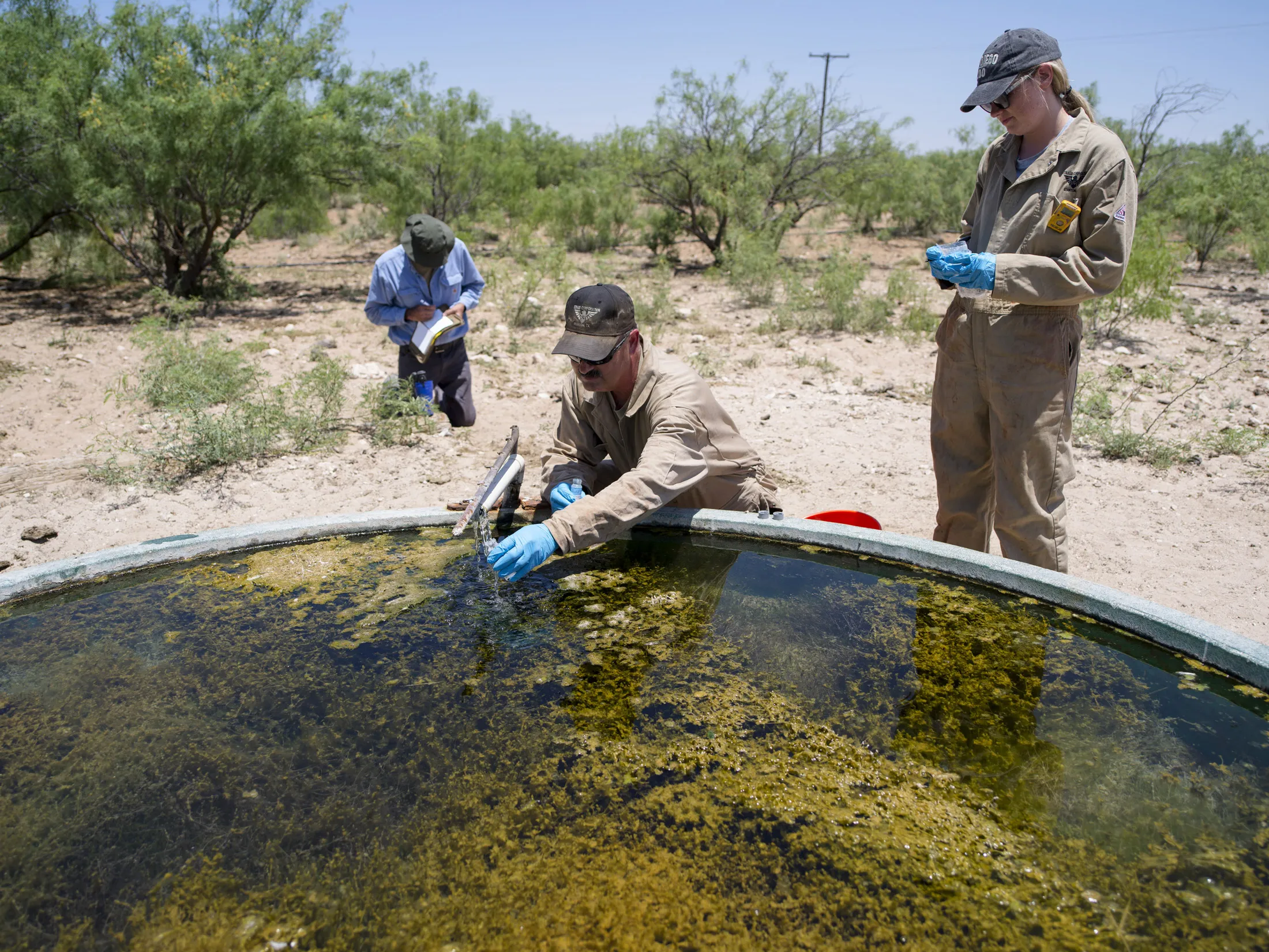 Water testing crews looking for contaminants collect&nbsp;samples pumped from a shallow aquifer beneath&nbsp;Ashley Watt’s cattle ranch in Crane County, Texas.