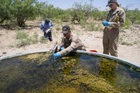 relates to How Last Century’s Oil Wells Are Messing With Texas Right Now