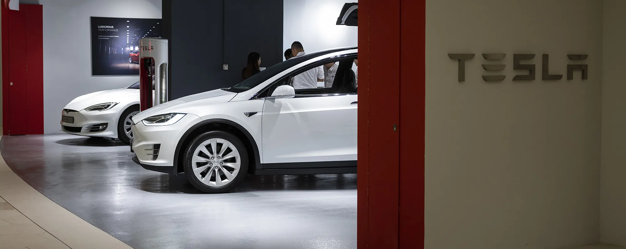 tesla social large lede
