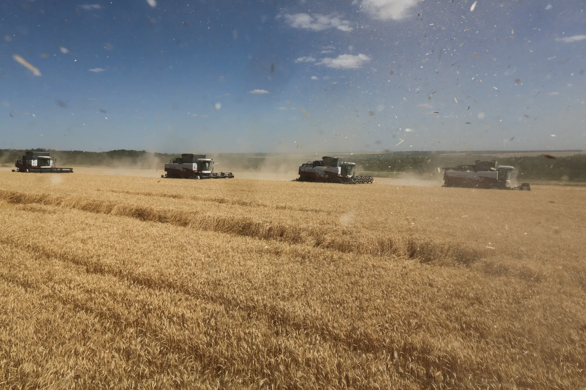 Wheat harvest near Rostov, Russia in July.